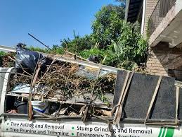 Best Attic Cleanout  in Golden Gate, FL